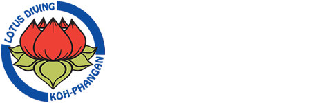 Lotus Diving